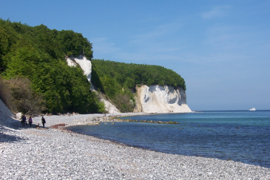 Rügen Kreidefelsen
