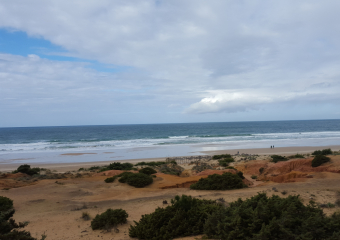 Bild Costa de La luz Reisebericht